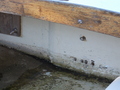 Image file: photo09.jpg