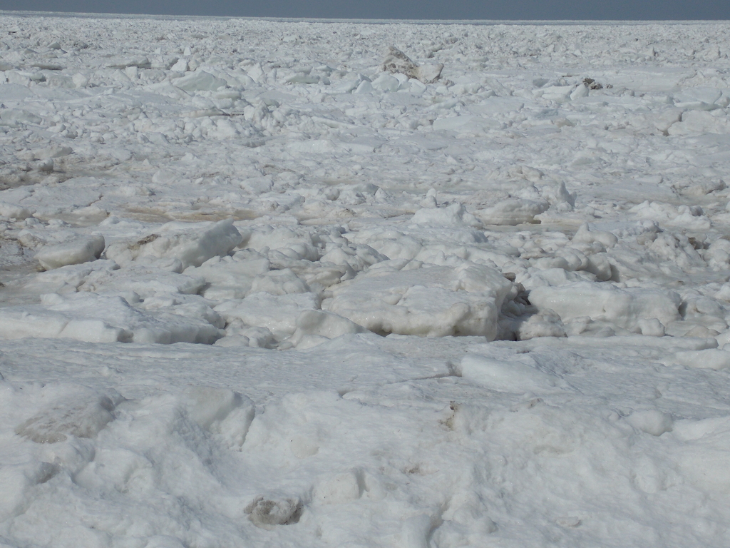 No description provided for: /2015/01-03/0224-glaciers/photo13.html