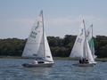 Image file: _1/photo011.jpg