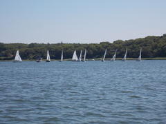 Image file: photo029.jpg