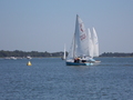 Image file: _1/photo031.jpg