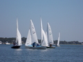 Image file: _1/photo033.jpg