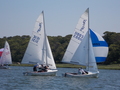 Image file: _1/photo044.jpg
