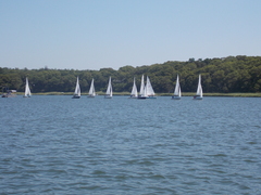 Image file: photo064.jpg