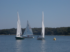 Image file: photo073.jpg