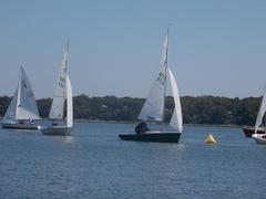 Image file: photo074.jpg