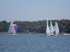 Image file: photo080.jpg