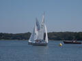 Image file: _1/photo075.jpg