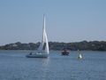 Image file: _1/photo078.jpg