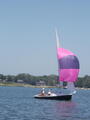 Image file: _2/photo100.jpg