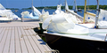 Image file: _2/photo40.jpg