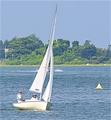Image file: _2/photo25.jpg