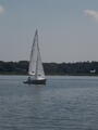 Image file: _1/photo123.jpg