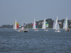 Image file: photo155.jpg