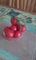 Image file: photo01.jpg