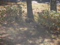 Image file: photo02.jpg