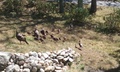 Image file: photo10.jpg
