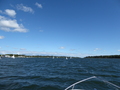 Image file: _1/photo001.jpg