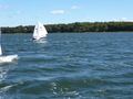 Image file: _1/photo002.jpg