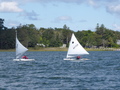 Image file: _3/photo049.jpg
