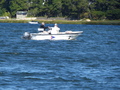 Image file: _5/photo108.jpg