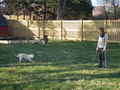 Image file: photo01.jpg