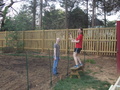 Image file: photo02.jpg