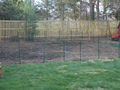 Image file: photo12.jpg