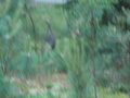 Image file: _1/photo01.jpg