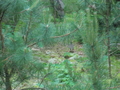Image file: _1/photo02.jpg