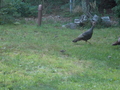 Image file: _1/photo03.jpg