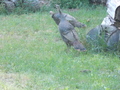 Image file: _1/photo04.jpg