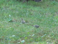 Image file: _1/photo05.jpg