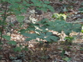 Image file: _1/photo08.jpg