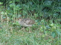 Image file: _1/photo12.jpg
