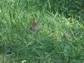 Image file: _1/photo14.jpg