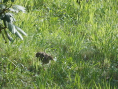 Image file: photo26.jpg