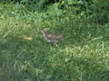 Image file: _2/photo16.jpg