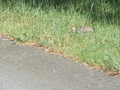 Image file: _2/photo18.jpg