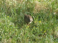 Image file: _2/photo20.jpg