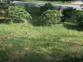 Image file: _2/photo21.jpg