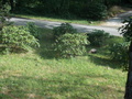 Image file: _2/photo22.jpg