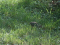 Image file: _2/photo27.jpg