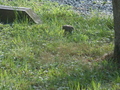 Image file: _2/photo29.jpg