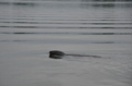 Image file: _2/photo25.jpg