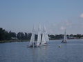 Image file: _1/photo019.jpg
