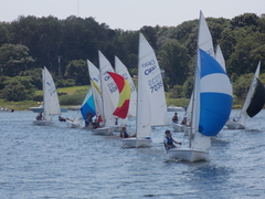 Image file: photo242.jpg