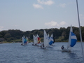 Image file: _11/photo243.jpg