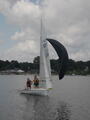Image file: _2/photo048.jpg