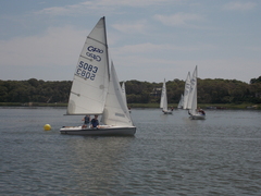 Image file: photo137.jpg